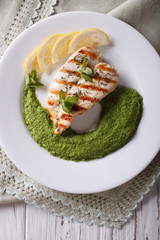 Grilled chicken and a side dish of green peas, vertical top view
