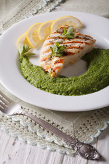 Grilled chicken and mashed mint with green peas, vertical
