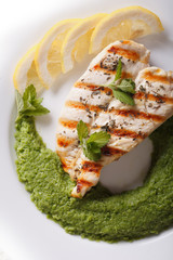 Grilled chicken and mashed green peas and mint vertical top view

