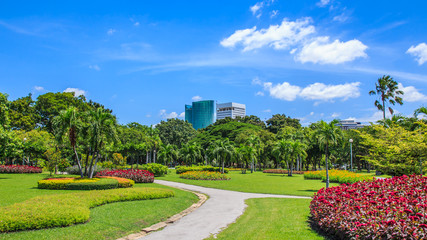 Flowers in Public Park in City.