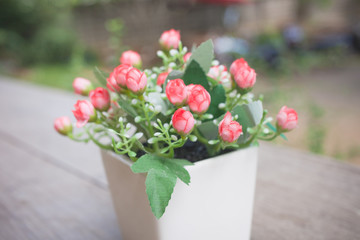 Beautiful pink flowers in pot on nature background