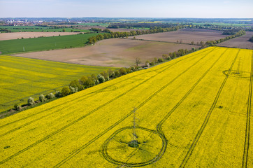 Obraz premium Powerlines on colza field