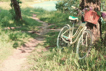 Fototapeta na wymiar Cycling in the park