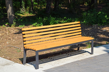 Park bench in the woods area