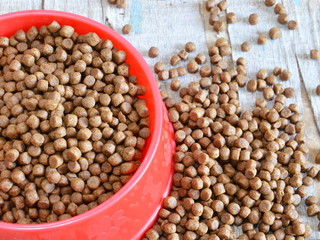dog food in red bowl