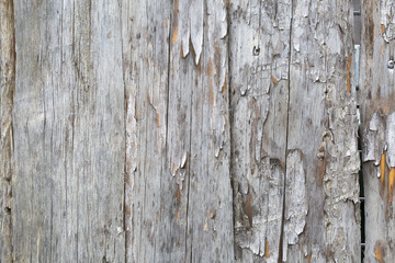 Naklejka premium Ahşap Dokusu