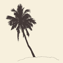 Obraz premium Palm tree Bounty vintage engraving vector illustration hand drawn