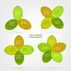 Leaves infographic