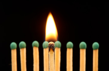 Burning wooden match standing in front of eight green matches