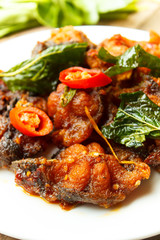 Phad Phed Pla Duk Thod Krob (Stir fried Deep fried Catfish with