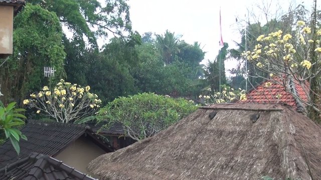 インドネシア、バリ島の雨期の風景