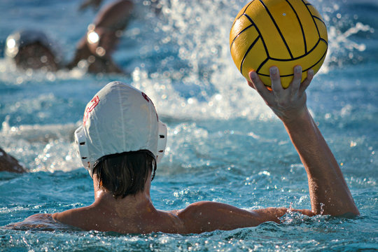 Male Water Polo Player