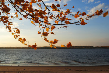 Ветвь дерева на ветру © dark322