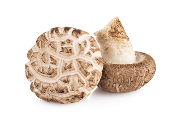 Shiitake mushroom on the White background