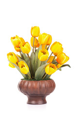 Yellow tulips isolated on white background