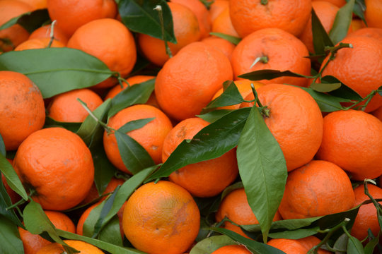 Mandarinen Markt