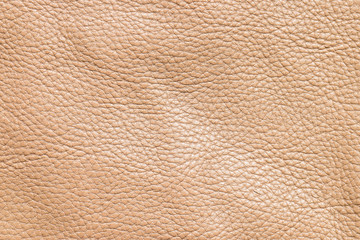 Brown Leather texture
