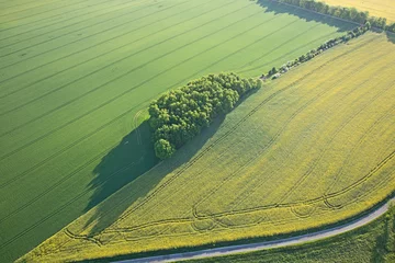 Deurstickers Rapsfeld und Bäume, Luftbild © kelifamily
