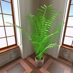 3d render of luxury manor interior - plant