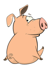 A cute pig farm animal cartoon 