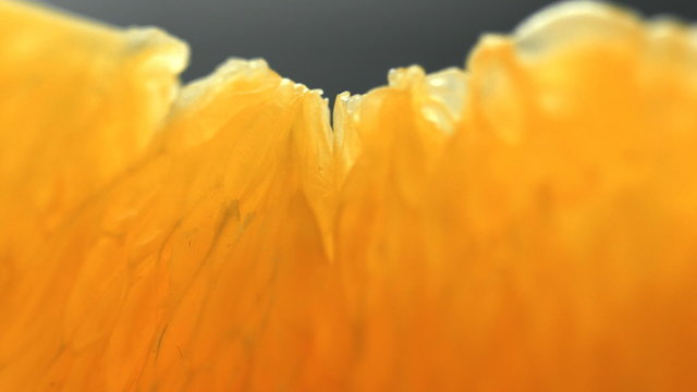 orange lith rotating closeup, beautiful soft focus macro shot (HD, high definition 1080p, loop, seamless loop) orange pulp