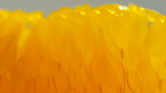orange lith rotating closeup, beautiful soft focus macro shot (HD, high definition 1080p, loop, seamless loop) orange pulp