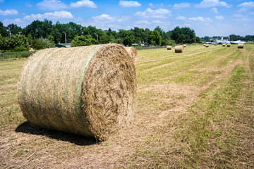 Heuballen auf einer Wiese