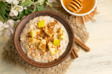 Oatmeal with apple, honey and cinnamon in the bowl and cinnamon
