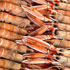 Langoustines