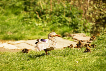 Stretching whilst looking after the little ones