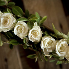 Roses