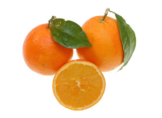 Orangen
