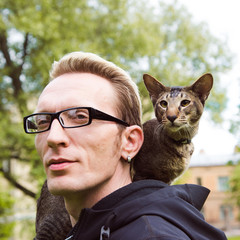 close up cat portrait outdoor