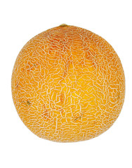 Honigmelone