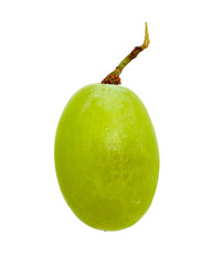Weintraube
