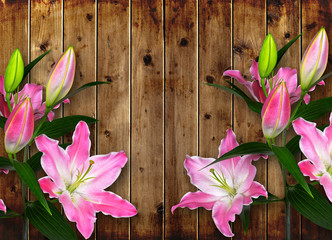 Pink Lily flower on wooden board