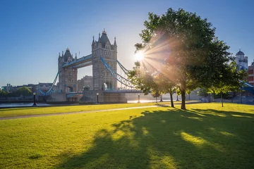 Poster Sunrise at Tower Bridge with tree and green grass, London, UK © zgphotography