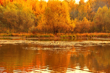 Fototapeta premium Autumn on lake
