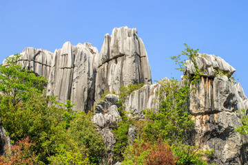 Stone Forest in Kunming City,China