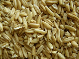 Grain 2.Texture of grains and seeds.