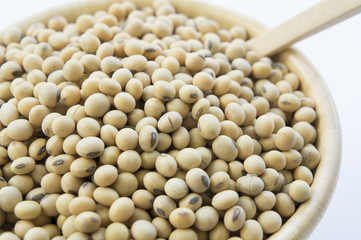 soy soybean closeup vegetable nutrition soya concept
