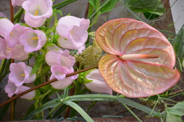 Liebevolle Blumendekoration aus Glockenblume und Anthurie dezent