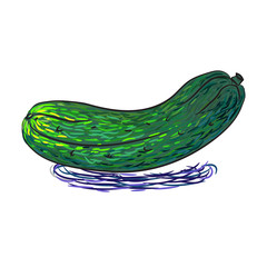 cucumber
