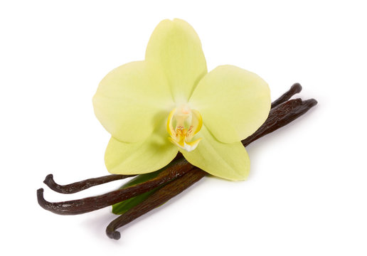 Vanilla sticks and yellow orchids