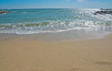 Paradise beach with green turquoise waves, coconut palm trees and fine untouched sand, Southern Province, Sri Lanka, Asia.