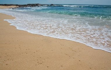 Fototapeta na wymiar Paradise beach with green turquoise waves, coconut palm trees and fine untouched sand, Southern Province, Sri Lanka, Asia.