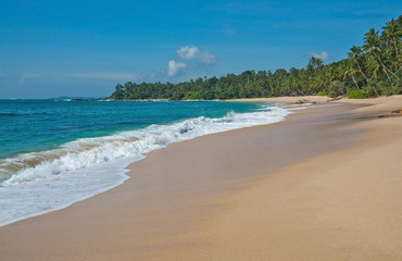 Fototapeta na wymiar Paradise beach with green turquoise waves, coconut palm trees and fine untouched sand, Southern Province, Sri Lanka, Asia.