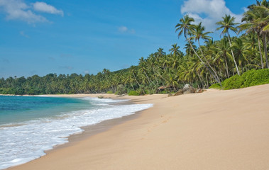 Paradise beach with green turquoise waves, coconut palm trees and fine untouched sand, Southern Province, Sri Lanka, Asia.