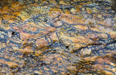 Gneiss metamorphic rock pattern closeup on a beach in Sri Lanka, Asia.