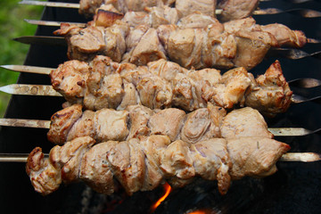 The shish kebab on skewers